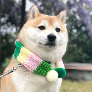 Meet your Posher, Josh